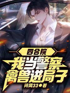 四合院全收小说
